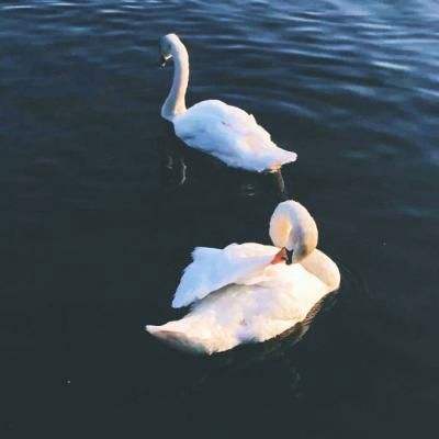 博鱼官方体育登录入口