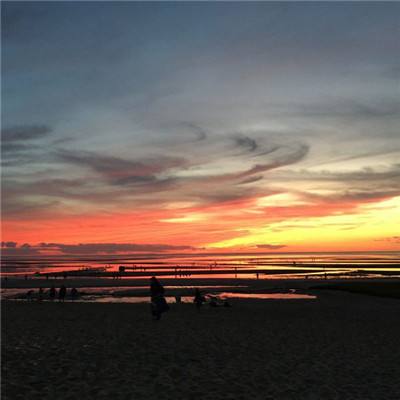 365体育官方唯一入口app下载截图