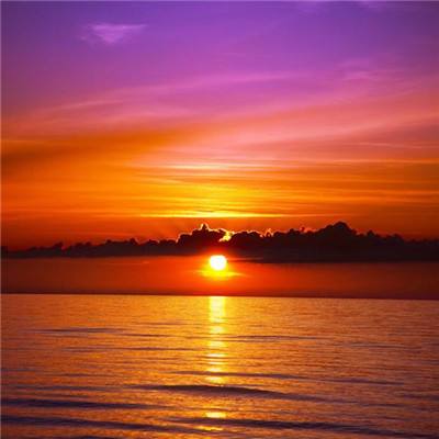 365体育官方唯一入口app下载