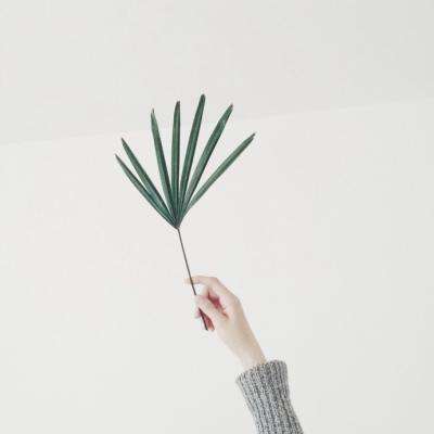 yaboapp手机官网截图