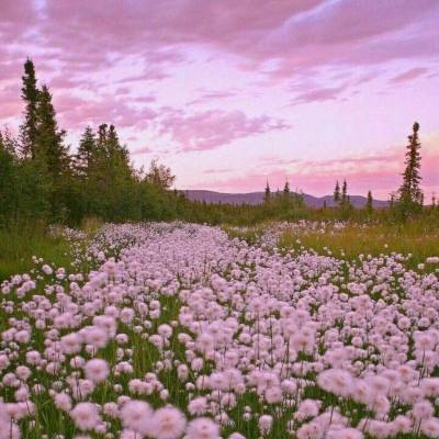 365体育官方唯一入口app下载