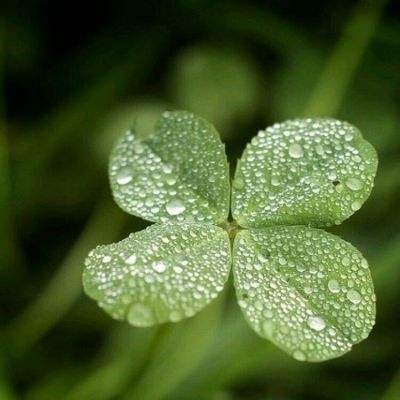 大众彩票入口welcome手机app下载截图