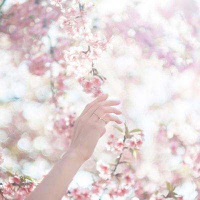 澳门黄金城手机app下载