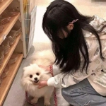 三亿体育手机app下载